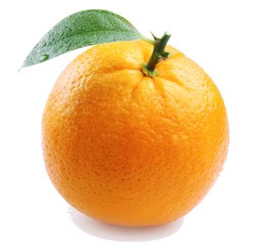 Fresh Export Grade Oranges